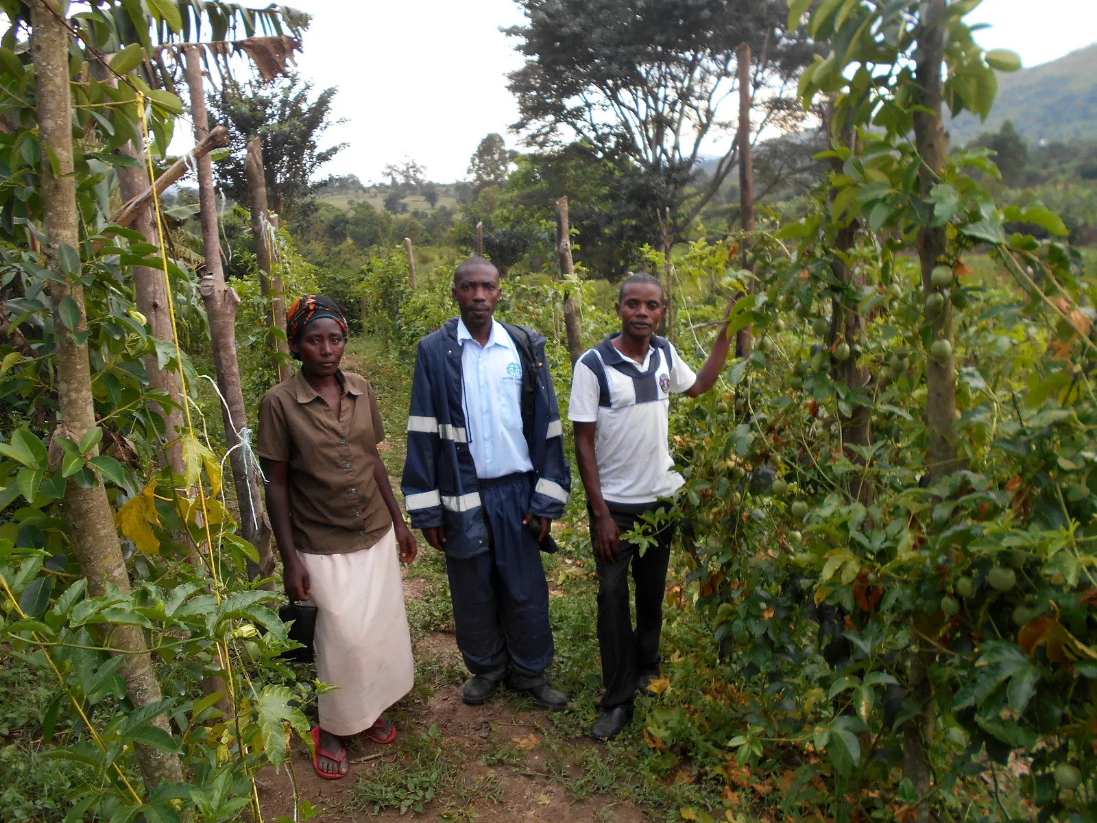 Agricultural Loan